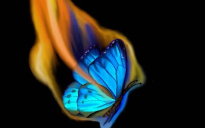 DIE LÄUTERUNG DER FLAMME DES GEISTES – DAS KOSTBARSTE