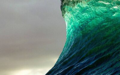 WELLEN DER WECHSELWIRKUNG