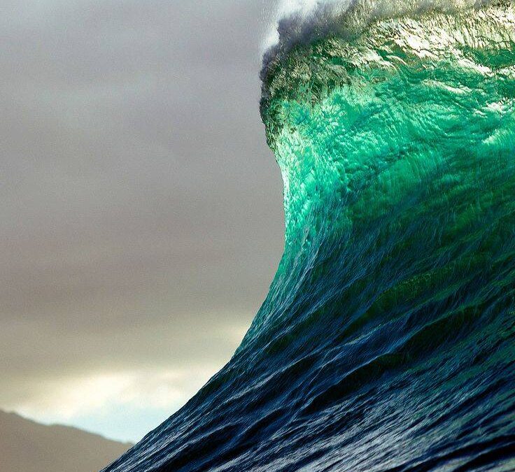 WELLEN DER WECHSELWIRKUNG