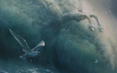 KREISE DER RUHE – ZEIT DES STURMS