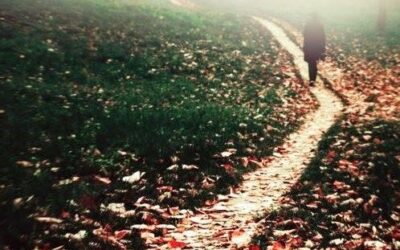 DER WEG DES SCHICKSALS