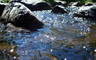 WASSER DISKUDIERT NIE MIT EINEM HINDERNIS