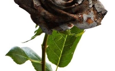 NÄCHSTENLIEBE